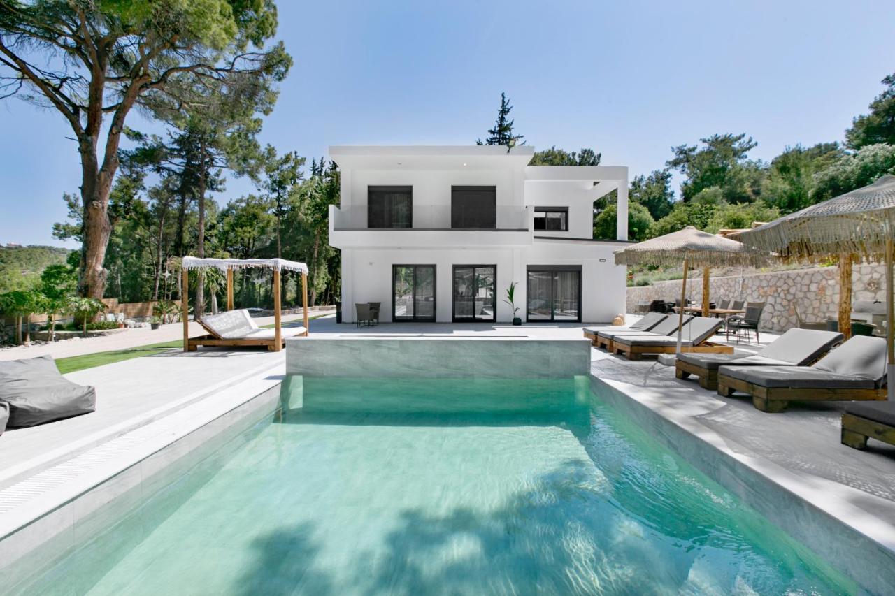 Dasylio - Earthy Living Vila *