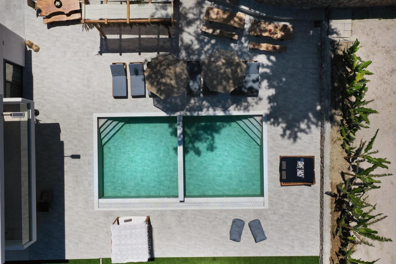 Vila Dasylio - Earthy Living
