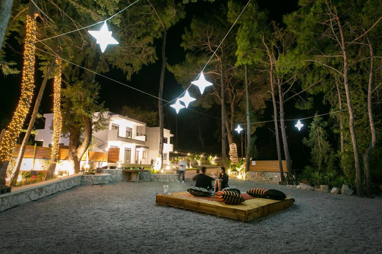 Dasylio - Earthy Living Vila
